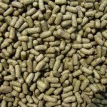 Shrimp Feed Pellet Machine